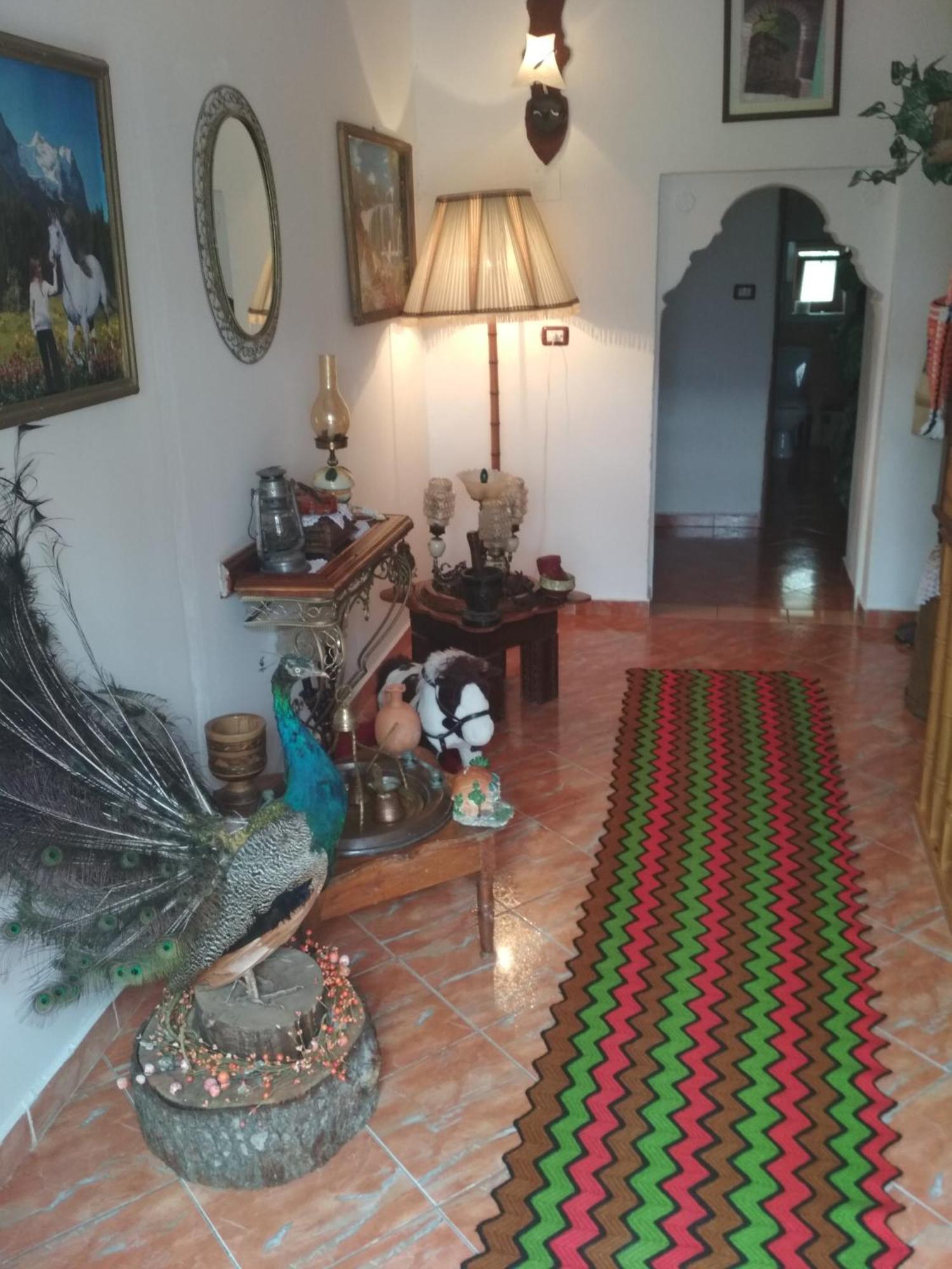 Karafil Guesthouse Gjirokastër Eksteriør bilde